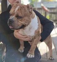 processed/aed5d6a6-3a2c-4c97-970b-c3983a38135a/listing/d856fd8d-2a4f-40ca-b4da-c6f2754d5d7d/b3f199ab-c92d-4784-aa55-49f90cb0c5fb