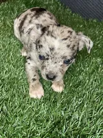 processed/aed8936c-bb35-4578-8b4e-7bcbd6839341/facility/143fcd30-5a06-41c6-88ea-69c530e92033