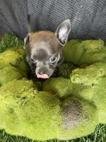 processed/aed8936c-bb35-4578-8b4e-7bcbd6839341/facility/6e4e9004-b287-4ef0-86d5-5f73923cb77d