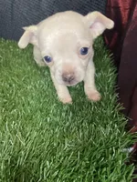 processed/aed8936c-bb35-4578-8b4e-7bcbd6839341/facility/985aad27-a1ef-4c7b-b285-7e1b264d5cd5