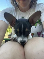 processed/aed8936c-bb35-4578-8b4e-7bcbd6839341/facility/c135ed2c-e657-44fa-a2fa-6d3cce2b3c48