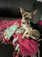 processed/aed8936c-bb35-4578-8b4e-7bcbd6839341/facility/cc37dda3-5b57-47ec-a273-dfb3bd3c352b