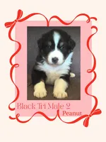 processed/aedc7238-dee1-4ffa-891c-7e26e5445be6/listing/951ea520-456b-4626-894c-02739416d6b9/cfb19b06-5aeb-47c4-b2dd-3997757a4bea