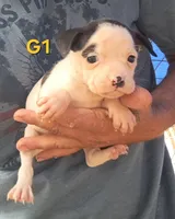 processed/aee32869-0561-40a4-8750-db100b11eb6e/listing/37fa834f-5d60-4a42-b94e-758382453cd7/b29ae3c6-375a-49d3-a489-de5f3903c9a0