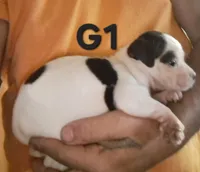 processed/aee32869-0561-40a4-8750-db100b11eb6e/listing/37fa834f-5d60-4a42-b94e-758382453cd7/d39fc431-886c-4154-9be0-cdab1a69a472