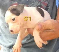 processed/aee32869-0561-40a4-8750-db100b11eb6e/listing/37fa834f-5d60-4a42-b94e-758382453cd7/e70a2e43-4bc7-4711-bf56-b853164e3e78