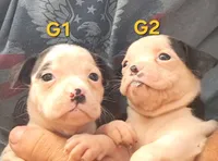 processed/aee32869-0561-40a4-8750-db100b11eb6e/listing/37fa834f-5d60-4a42-b94e-758382453cd7/eac1c40e-013d-4e20-9f27-c54e3038eda4