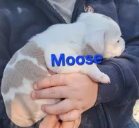 processed/aee32869-0561-40a4-8750-db100b11eb6e/listing/420654a2-f417-48c0-bb7c-e218dcc09328/98c8ced3-6cac-4c81-91e8-1c24b69c74d6