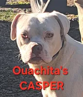 processed/aee32869-0561-40a4-8750-db100b11eb6e/listing/420654a2-f417-48c0-bb7c-e218dcc09328/fe0b2cb3-df97-4ebf-a643-ddf98a4e93ce