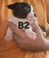 processed/aee32869-0561-40a4-8750-db100b11eb6e/listing/7ecc704e-d62c-4999-bcaa-222eedfe3d11/0917c437-62b1-4c00-8522-2dab8de8f6f5