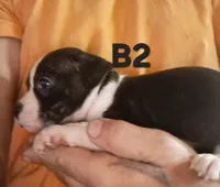 processed/aee32869-0561-40a4-8750-db100b11eb6e/listing/7ecc704e-d62c-4999-bcaa-222eedfe3d11/14845bc6-5cf9-4464-a03d-ab429dda267e