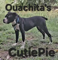 processed/aee32869-0561-40a4-8750-db100b11eb6e/listing/7ecc704e-d62c-4999-bcaa-222eedfe3d11/6625388d-7103-4e00-9185-66f6dca6f29d