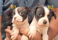 processed/aee32869-0561-40a4-8750-db100b11eb6e/listing/7ecc704e-d62c-4999-bcaa-222eedfe3d11/ad01be85-6bb6-4990-9553-8278634a3ab7