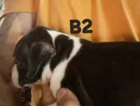 processed/aee32869-0561-40a4-8750-db100b11eb6e/listing/7ecc704e-d62c-4999-bcaa-222eedfe3d11/c1a63c2c-f093-4c33-9c41-86ac0e3ee6f8