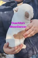 processed/aee32869-0561-40a4-8750-db100b11eb6e/listing/96b7b930-be90-4360-9dba-232cfa6fcc03/6cd19b39-7952-4716-b2ac-b54be23bf6e3