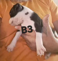 processed/aee32869-0561-40a4-8750-db100b11eb6e/listing/b9167361-1adf-42d1-9c44-d66c5c2a3ab1/01d69240-0b24-40bc-9320-97abeb4cda0f