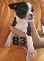 processed/aee32869-0561-40a4-8750-db100b11eb6e/listing/b9167361-1adf-42d1-9c44-d66c5c2a3ab1/563b1a64-fbb7-49b4-8d7f-fa097fc98806