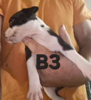 processed/aee32869-0561-40a4-8750-db100b11eb6e/listing/b9167361-1adf-42d1-9c44-d66c5c2a3ab1/e360624c-f135-4843-a993-fecfc99b106a