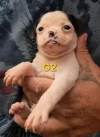 processed/aee32869-0561-40a4-8750-db100b11eb6e/listing/c7d7a35f-75fb-4ada-b60c-5b21c315042d/0dedefd7-e6bc-41e8-a3a6-86a649471323