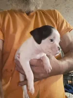 processed/aee32869-0561-40a4-8750-db100b11eb6e/listing/c7d7a35f-75fb-4ada-b60c-5b21c315042d/46590e18-a00b-41f3-b2b9-281eeb38aaff