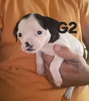 processed/aee32869-0561-40a4-8750-db100b11eb6e/listing/c7d7a35f-75fb-4ada-b60c-5b21c315042d/a089ad27-9e09-4f93-a581-5e7b3b699c8c