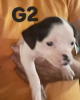 processed/aee32869-0561-40a4-8750-db100b11eb6e/listing/c7d7a35f-75fb-4ada-b60c-5b21c315042d/bab7bbec-1c93-4889-863b-116d21323ce1