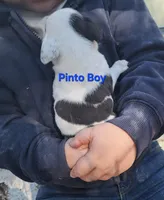 processed/aee32869-0561-40a4-8750-db100b11eb6e/listing/cdaf3951-1384-4bc5-a237-81e3863549f2/fe5dd3e7-3cd6-4ab0-875a-a46ac8a5bf6a