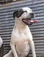 processed/aee32869-0561-40a4-8750-db100b11eb6e/listing/e3ad6511-1f33-497e-8b0f-df4742850964/986c5031-234f-4a26-a217-d36ed19e7619