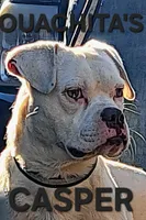 processed/aee32869-0561-40a4-8750-db100b11eb6e/listing/e3ad6511-1f33-497e-8b0f-df4742850964/e0d58223-072e-4b85-9568-34ee781be901