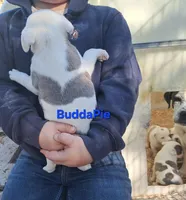 processed/aee32869-0561-40a4-8750-db100b11eb6e/listing/e3ad6511-1f33-497e-8b0f-df4742850964/ed88ae26-6e57-40d3-a012-380da721faf2