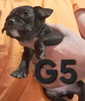 processed/aee32869-0561-40a4-8750-db100b11eb6e/listing/eb82ed4e-0446-4ec1-a3db-c4c1173733e9/b832ce22-d2ba-4540-bc90-e926d27d357a