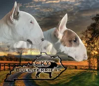 processed/aee32bbd-0c19-4bfb-8ecb-1fd67110bbe3/facility/8e5f4190-82f1-4a9d-be6d-d14c188c3ad5