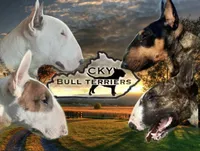 processed/aee32bbd-0c19-4bfb-8ecb-1fd67110bbe3/facility/f9045aa3-07c5-4916-9226-5b26b42d817a