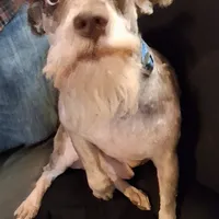 processed/aeed1a4e-62ff-43e6-8458-6c769fa60c1a/facility/68412497-b413-4285-a6c7-519cad50fe56