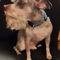 processed/aeed1a4e-62ff-43e6-8458-6c769fa60c1a/facility/75e4bf0d-48b3-4b70-9860-350e7ecca379