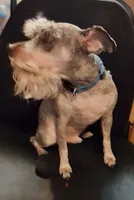 processed/aeed1a4e-62ff-43e6-8458-6c769fa60c1a/facility/75e4bf0d-48b3-4b70-9860-350e7ecca379