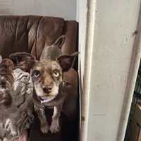 processed/aeed1a4e-62ff-43e6-8458-6c769fa60c1a/facility/7df3de3a-56fb-4ba5-97c2-994d5be66a91