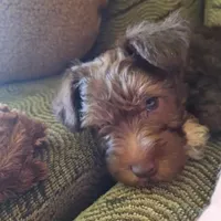 processed/aeed1a4e-62ff-43e6-8458-6c769fa60c1a/facility/bdab084d-5c4a-4359-bdb2-3220d86cc3a1