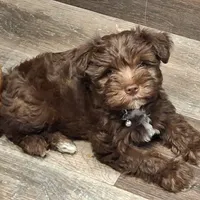 processed/aeed1a4e-62ff-43e6-8458-6c769fa60c1a/facility/ee24bb2b-56fd-4501-ab13-acb089eeea40