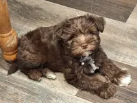 processed/aeed1a4e-62ff-43e6-8458-6c769fa60c1a/facility/ee24bb2b-56fd-4501-ab13-acb089eeea40