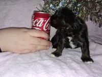 processed/aeed1a4e-62ff-43e6-8458-6c769fa60c1a/listing/964d20f9-b435-4d74-8f3b-7865374b5db9/114c8e2c-b526-4681-8cf2-864ab50ee858