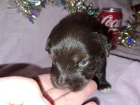 processed/aeed1a4e-62ff-43e6-8458-6c769fa60c1a/listing/964d20f9-b435-4d74-8f3b-7865374b5db9/15941e2d-f180-47f9-a8ec-5c911a5bc18a