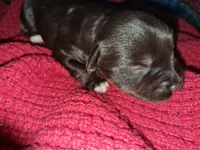 processed/aeed1a4e-62ff-43e6-8458-6c769fa60c1a/listing/964d20f9-b435-4d74-8f3b-7865374b5db9/2bbd8d40-4ab7-4fa6-80f6-a885dc785b9a