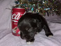 processed/aeed1a4e-62ff-43e6-8458-6c769fa60c1a/listing/964d20f9-b435-4d74-8f3b-7865374b5db9/bccaf3f5-26b6-4a6a-aa9c-10c3bbcd010a