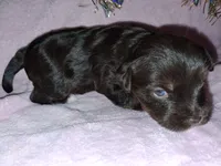 processed/aeed1a4e-62ff-43e6-8458-6c769fa60c1a/listing/964d20f9-b435-4d74-8f3b-7865374b5db9/ce156864-8f62-4e62-b645-91b75098011e