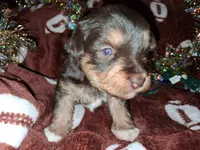 processed/aeed1a4e-62ff-43e6-8458-6c769fa60c1a/listing/a77055b2-4730-4f3a-b1c6-ef7b3f0cdf85/5203bd4a-2f81-4ee7-9264-fd7b4aa5f6fc