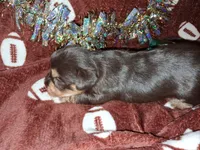 processed/aeed1a4e-62ff-43e6-8458-6c769fa60c1a/listing/a77055b2-4730-4f3a-b1c6-ef7b3f0cdf85/5231b392-0859-42e0-885a-0791d9075974