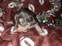 processed/aeed1a4e-62ff-43e6-8458-6c769fa60c1a/listing/a77055b2-4730-4f3a-b1c6-ef7b3f0cdf85/884345e7-e407-4638-8ded-e1c8620c2f83