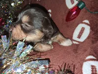 processed/aeed1a4e-62ff-43e6-8458-6c769fa60c1a/listing/a77055b2-4730-4f3a-b1c6-ef7b3f0cdf85/a7e36fab-1492-492b-aebd-a2ee7d11c0df