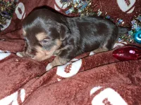 processed/aeed1a4e-62ff-43e6-8458-6c769fa60c1a/listing/a77055b2-4730-4f3a-b1c6-ef7b3f0cdf85/bd1ad2f4-321d-4074-a532-78b391b32b67